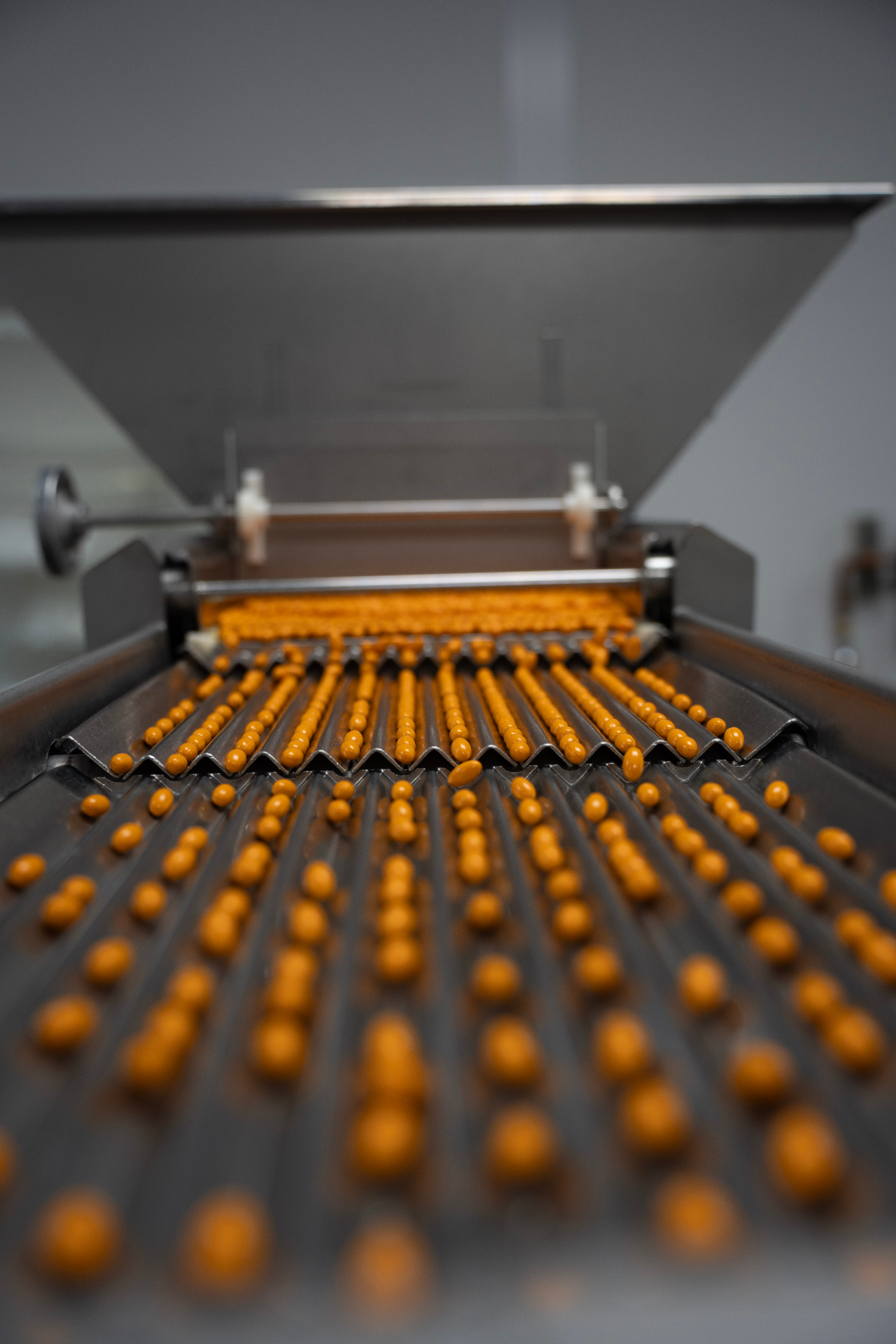 Capsule sorting line moving orange capsules through a cGMP cleanroom